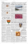 17 Sept- Vp pdf-page-002